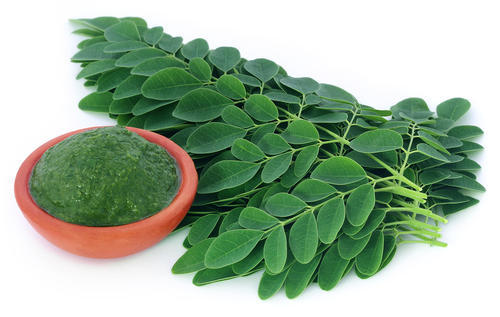 14 health Benefits Of Moringa plant Seeds & leaf